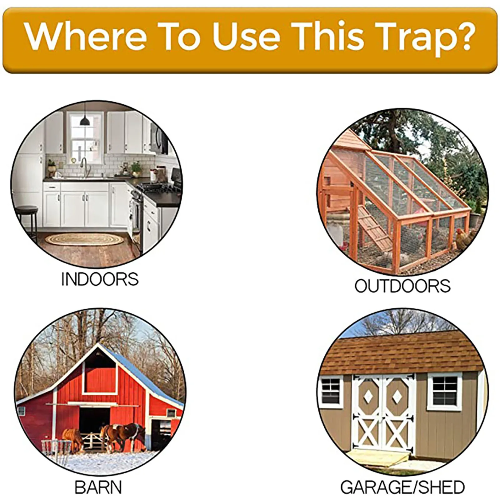 

Non-toxics Reject Mouse Killer Rat Catching Mice Catch Mouse Traps Flip N Slide Bucket Lid Mouse Trap Humane Or Lethal Trap Door