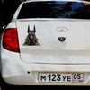 Изображение товара 3