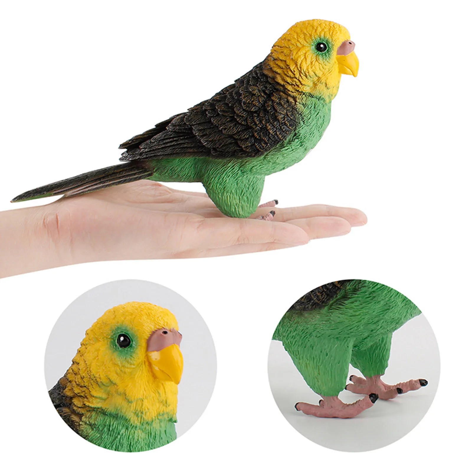 

Parrot Animal Toys Figurines Home Decorate Preschool Educational Action Figure Plastic Toys