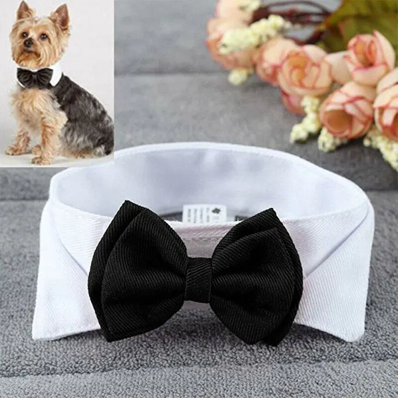 

Pet Bow Tie Dog Puppy Cats Bow Tie Butterfly Necktie Costume Collar Clothes for Wedding Parties Puppy Grooming Accessories