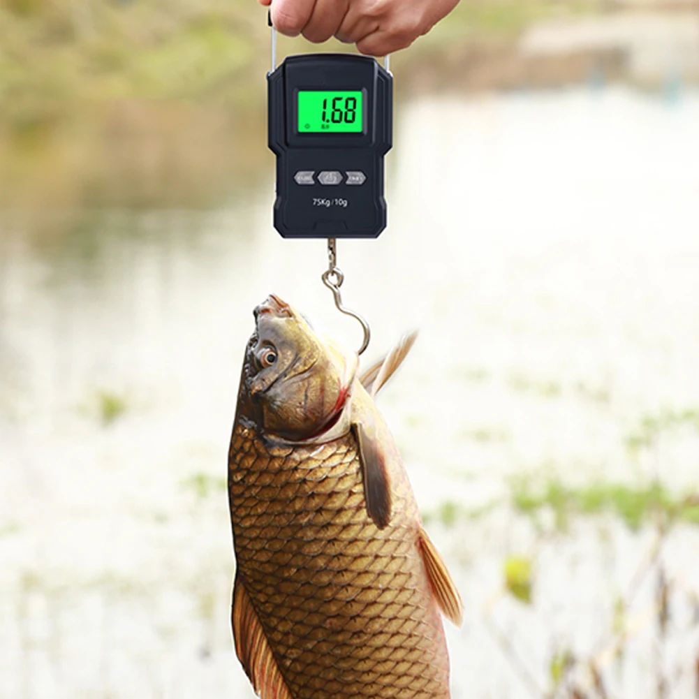 

75Kg/10g Electronic Weighing Scale 50Kg/5g LCD Digital Display Hanging Hook Scale with Measuring Tape for Fishing Travel