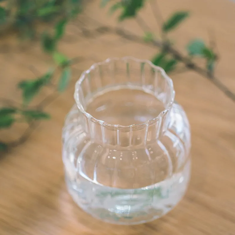 

Glass Flower Vase Transparent Hydroponic Vase Tabletop Ornaments Flower Container Plants Holder Living Room Bedroom Decor