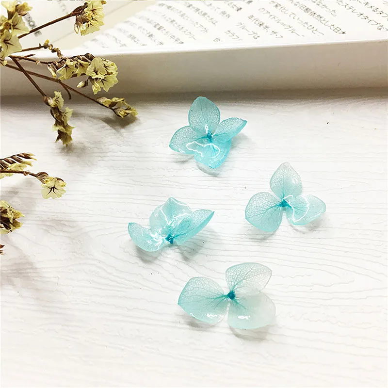 

2pcs UV Resin Dried Flowers Natural Hydrangea Dry Beauty Decal For Epoxy Resin Filling Jewelry DIY Craft Decoration 3cm - 0.8cm