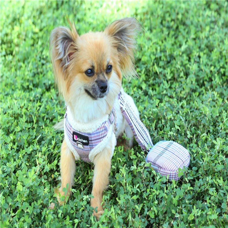 

Warm Grid Yorkie Dog Leash Harness for Small Medium Pets Warm Cat Leash Fleece Puppy Clothes Walking Lead Winter Dog Supplies