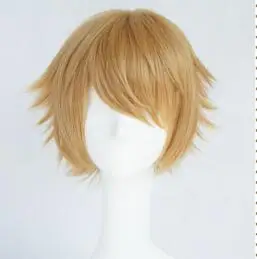 Аниме Danganronpa Fujisaki Chihiro школьная форма комплект Аниме костюмы для косплея костюмы на Хэллоуин для женщин - Цвет: only wig