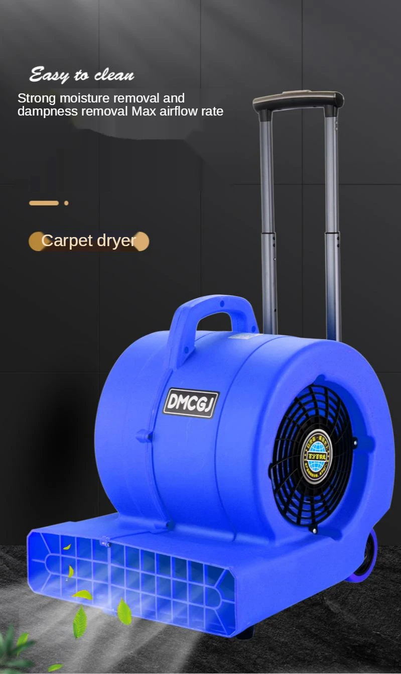 

220V Floor Dryer Commercial Dry Carpet Dehumidification Hot and Cold Hair Dryer Toilet Ground Floor High-Power Blow Dryer