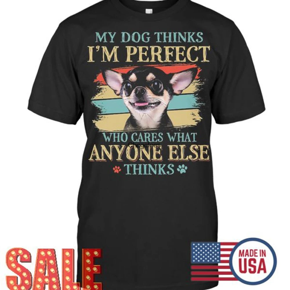 Чихуахуа My Dog считает меня идеальным который заботится о том что кто-то еще