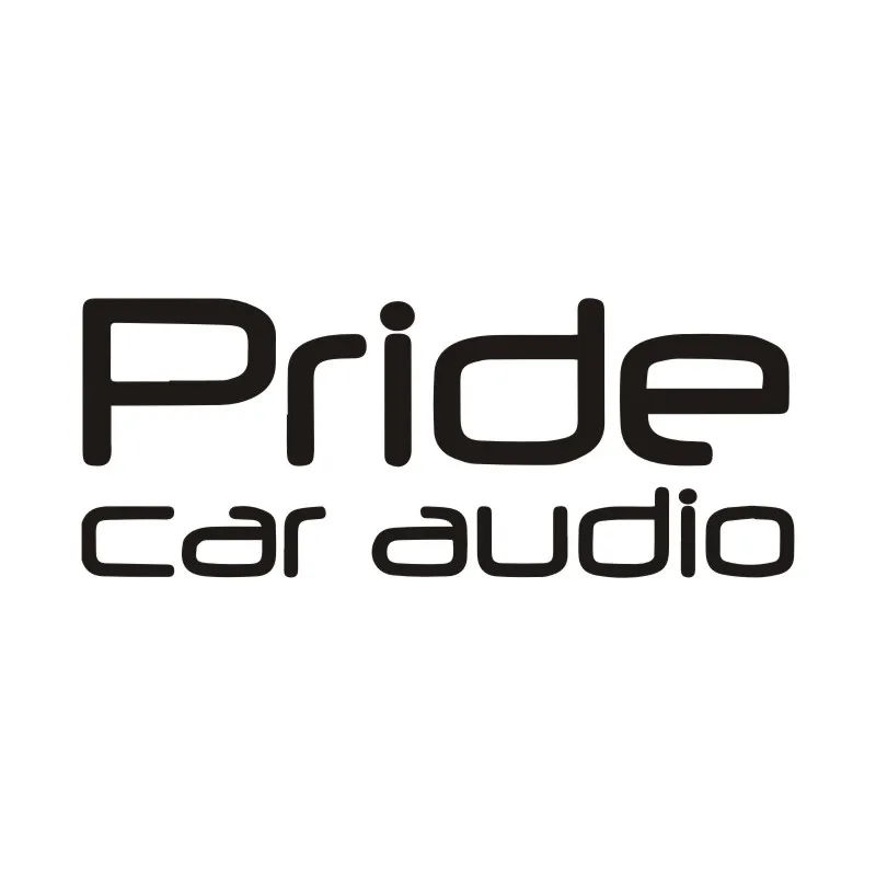 

Personality Car Sticker 3D Pride Car Audio Decal Car Styling Waterproof Reflective Custom Sticker 25CM*10CM