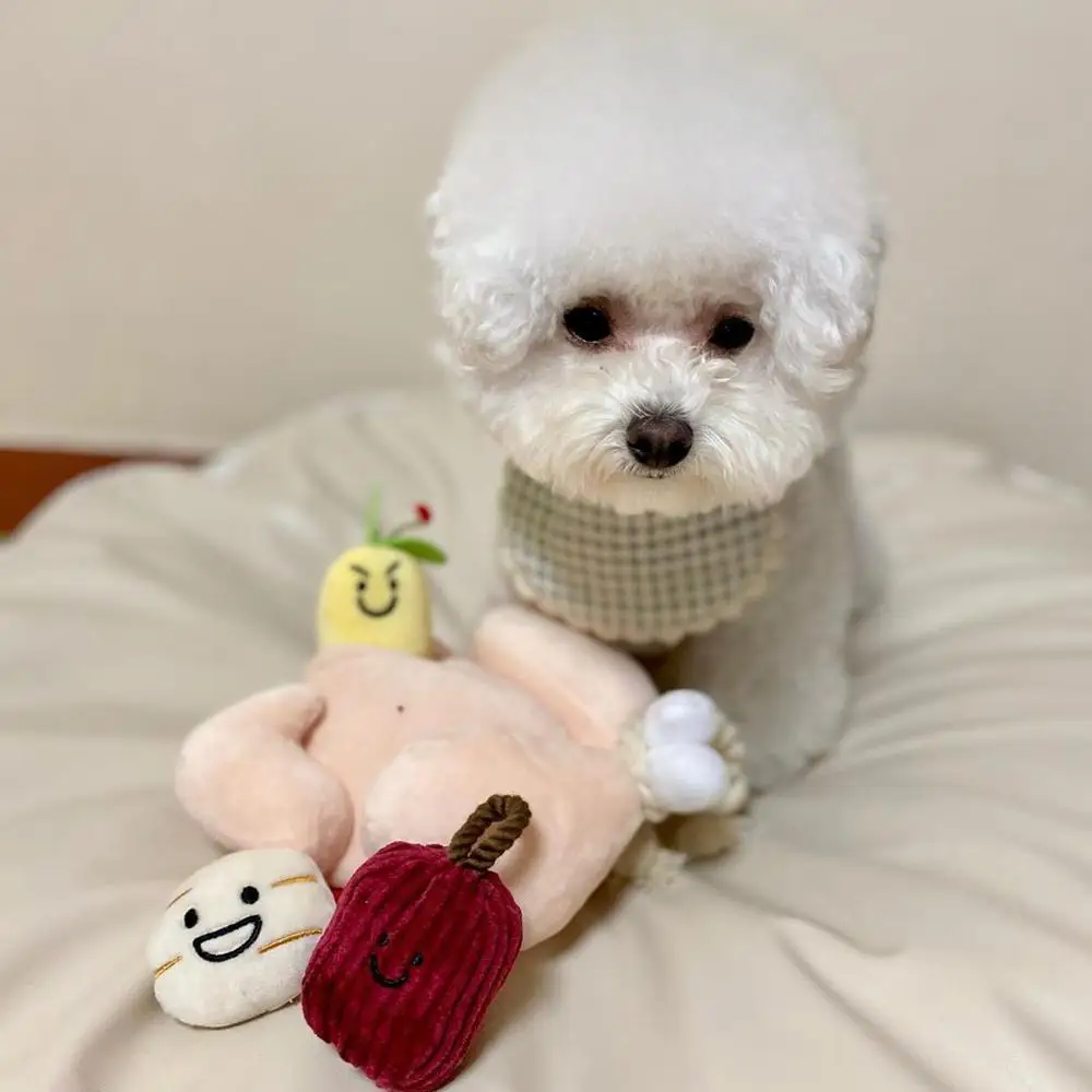 Горячая Распродажа котенок домашних животных жевательные игрушки собака для