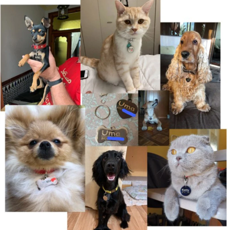 Идентификационная бирка для кошек и собак с бесплатной гравировкой