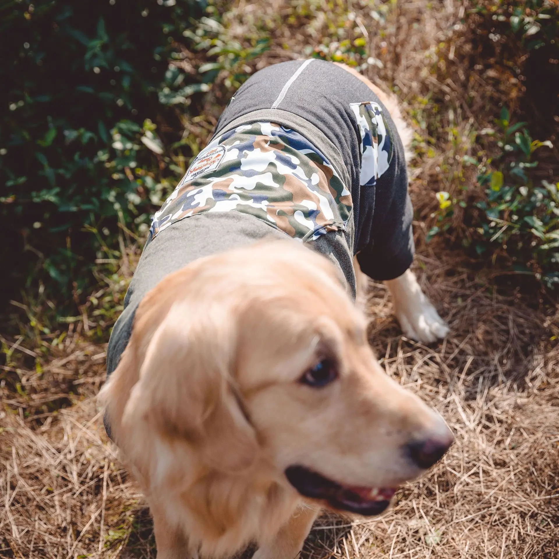 Теплая армейская большая собака пальто и куртки Толстая стеганая курточка