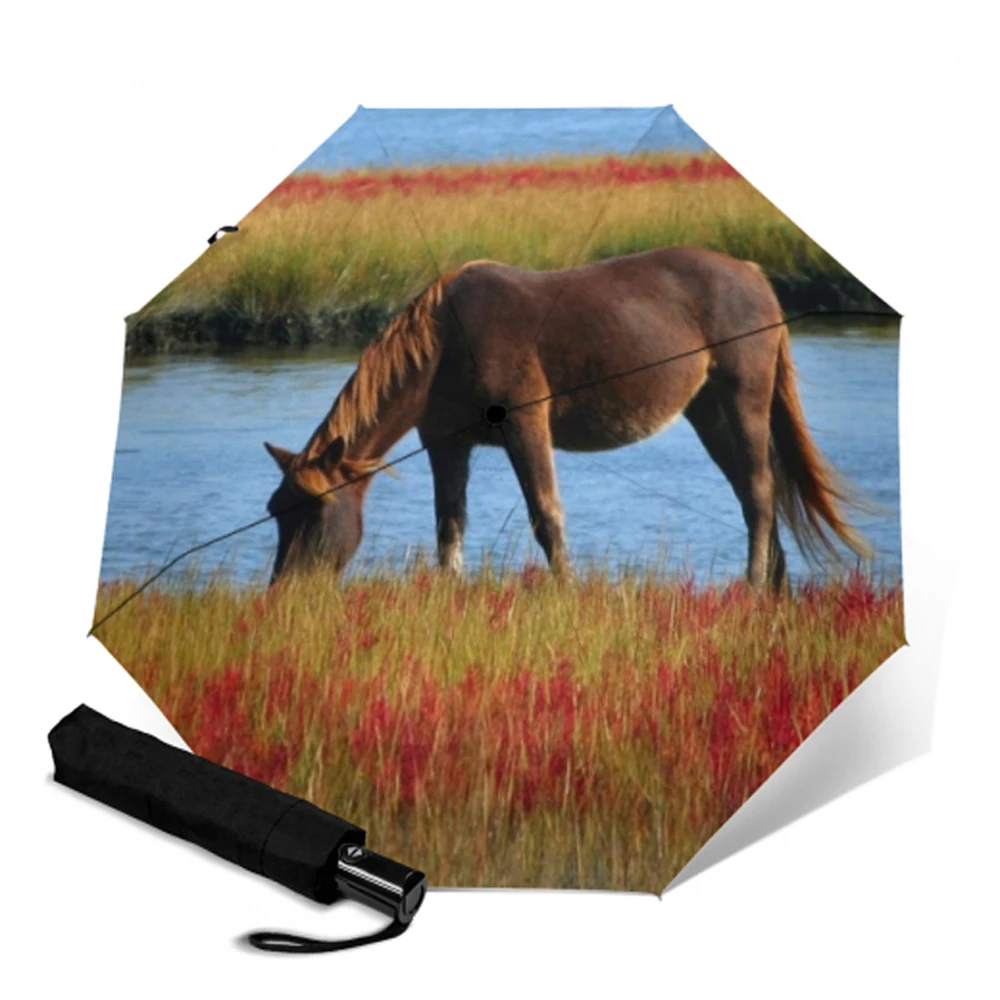 Роскошный зонт для путешествий с автоматическим открыванием и закрытием 3