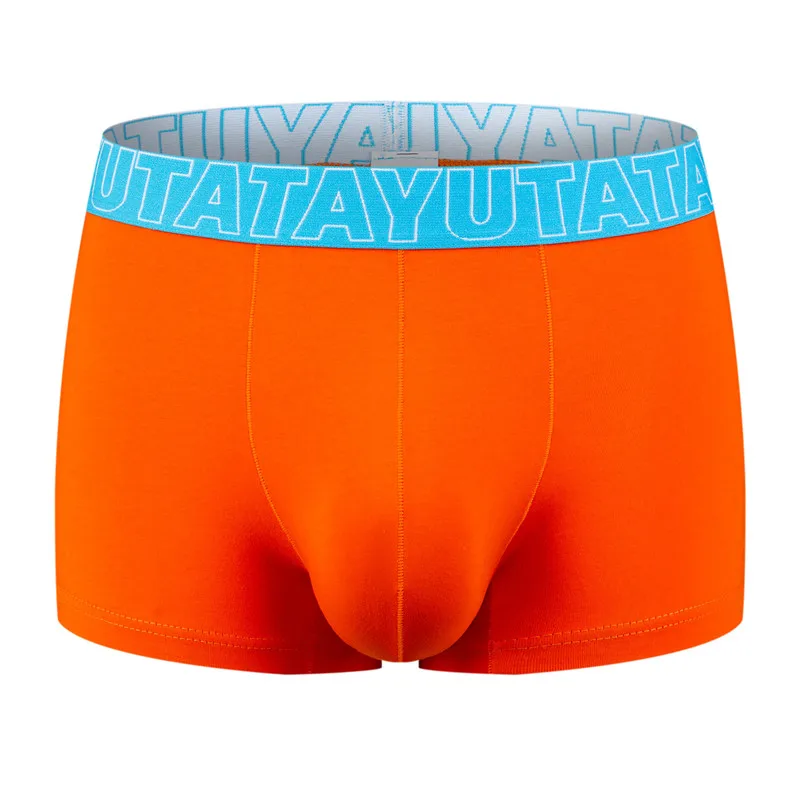 6PCS Lot Boxer Shorts Underpants Man Men's Panties Men Boxer Underwear Cotton for Male Couple Sexy Low Waist Large Size Soft