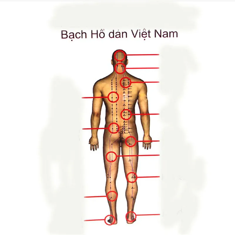 10 шт./лот вьетнамский белый тигровый бальзам мышечная шея массаж тела релаксация