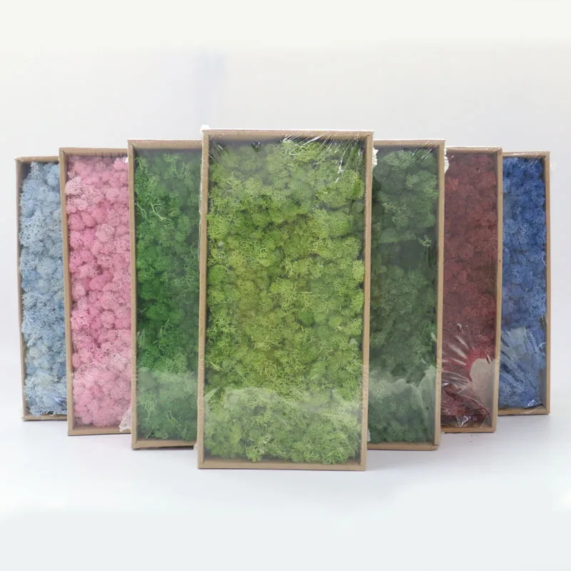 Искусственное растение 20 г мох для вечной жизни украшение сада стен сделай сам