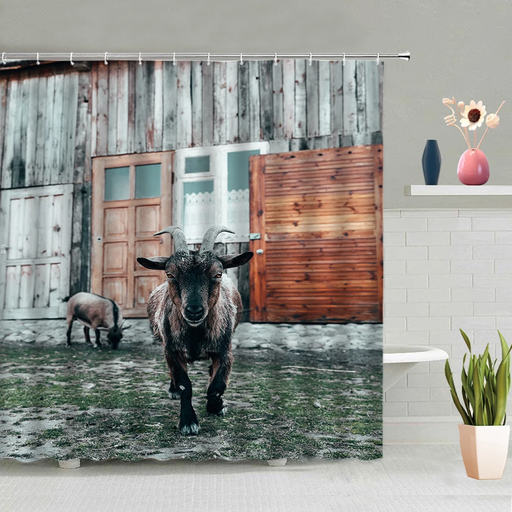 

Animals Cows Shower Curtain Farm Highland Cattle Bathroom Decoration Bathing Curtains Washable Hanging With Hooks Home Screen
