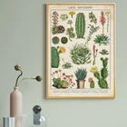 Кактусы суккуленты современное растение цветок холст картина скандинавские плакаты и принты настенное искусство для гостиной домашний декор Куадрос