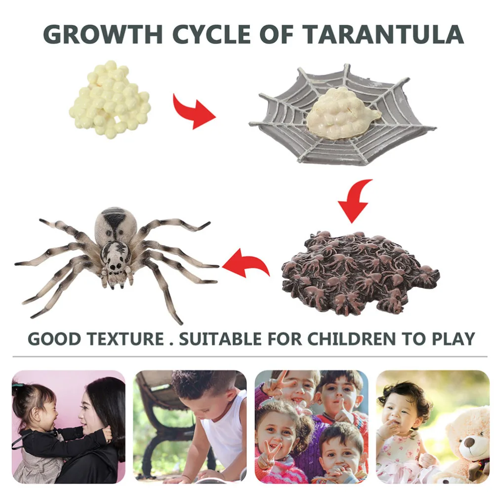 

3 Sets Insects Life Cycle Models of Mosquito Tarantula and Centipede Kids Toys