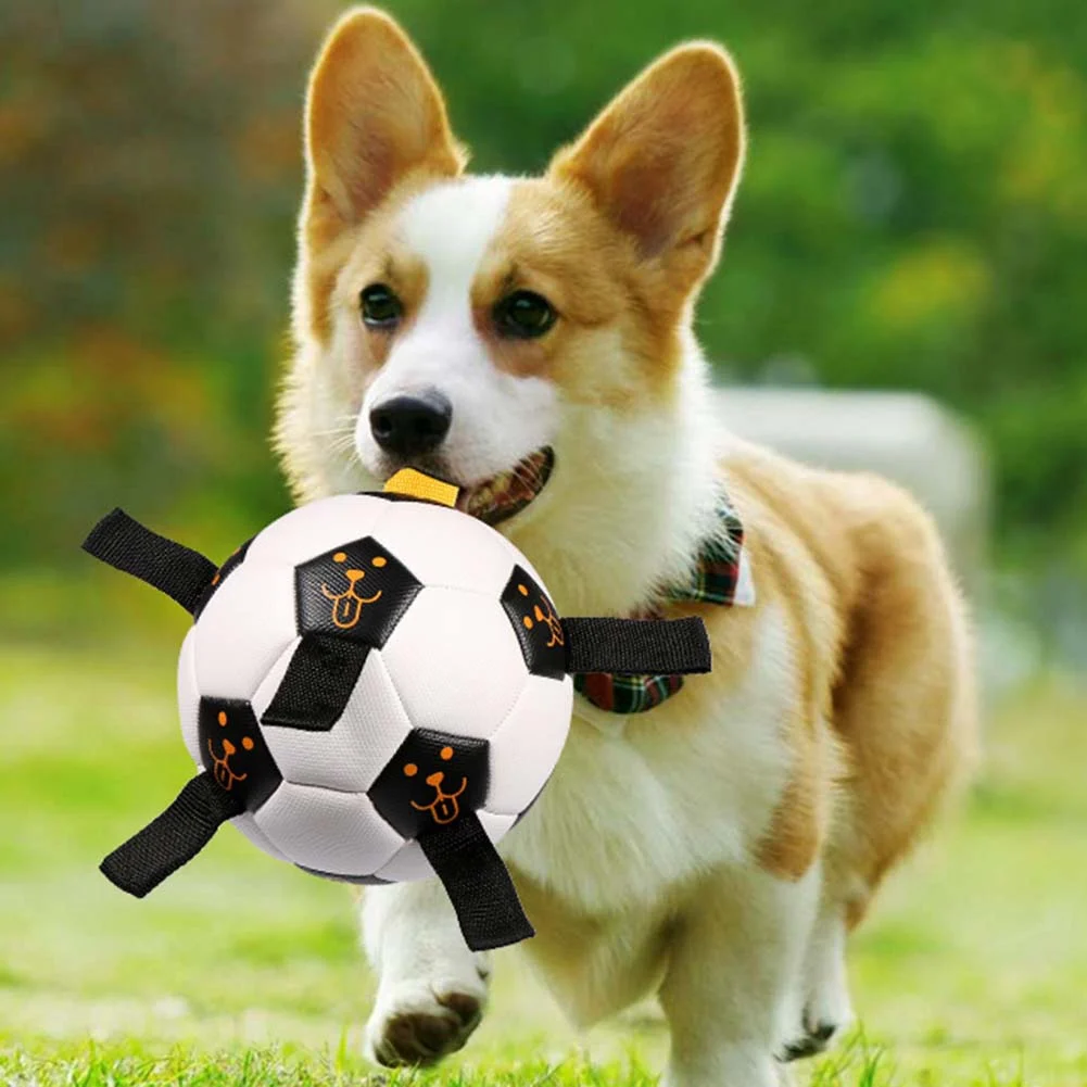 

Dog Football Interactive Dog Toy for Outdoor Interactive Rubber Toy Training Multifunctional Dog Ball with Pump Pet Supplies