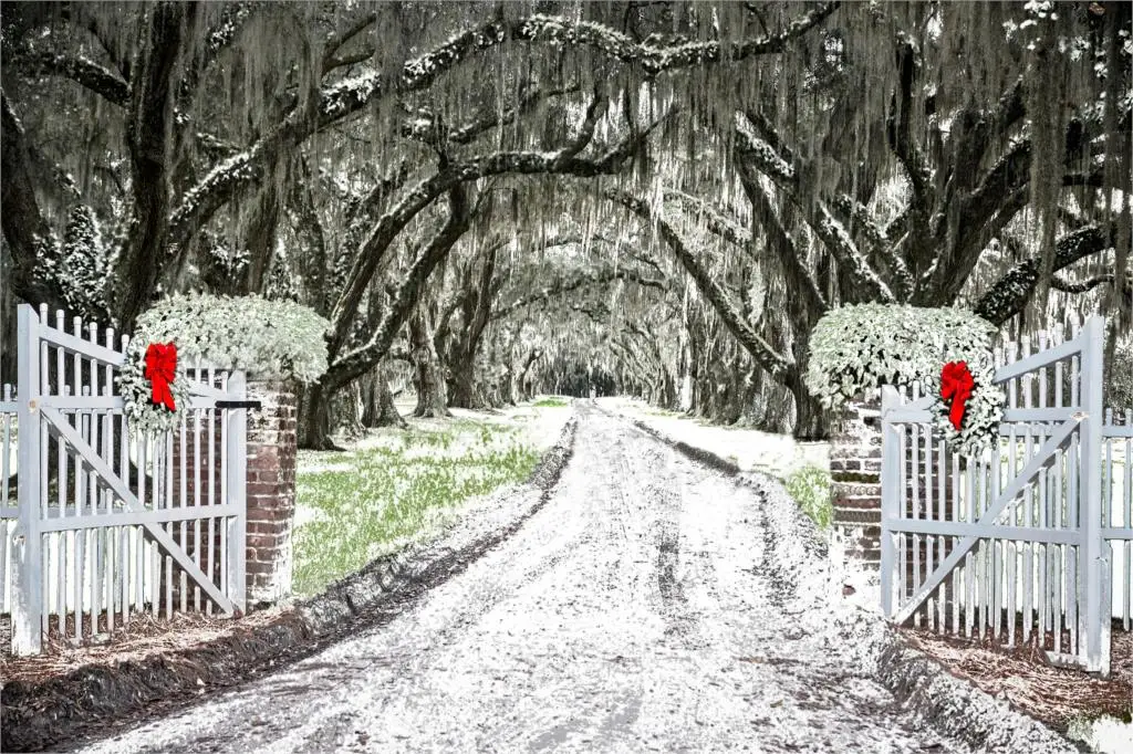 

Рождественский фон с древними деревьями Noel вечерние фоны для фотосъемки снежная дорога мир деревенская деревянная дверь Сельский Фон для ф...