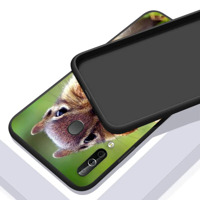 

Cute Animal Squirrel for Samsung Galaxy A90 5G A80 A70S A70 A60 A50S A50 A30S A30 A2 Core M60S M30 Phone Case