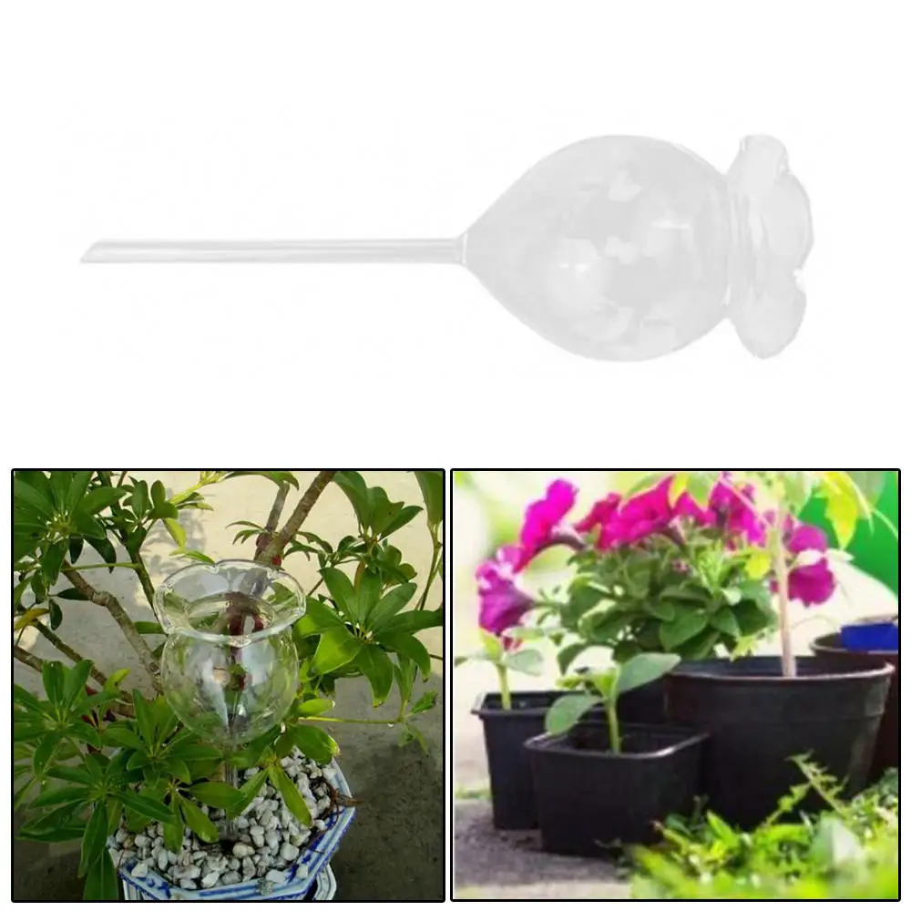 Стеклянный податчик воды для растений автоматический прозрачный стеклянный