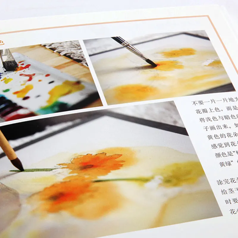 Урок акварели IV: от эскиза до мастер базовых навыков рисования художественная