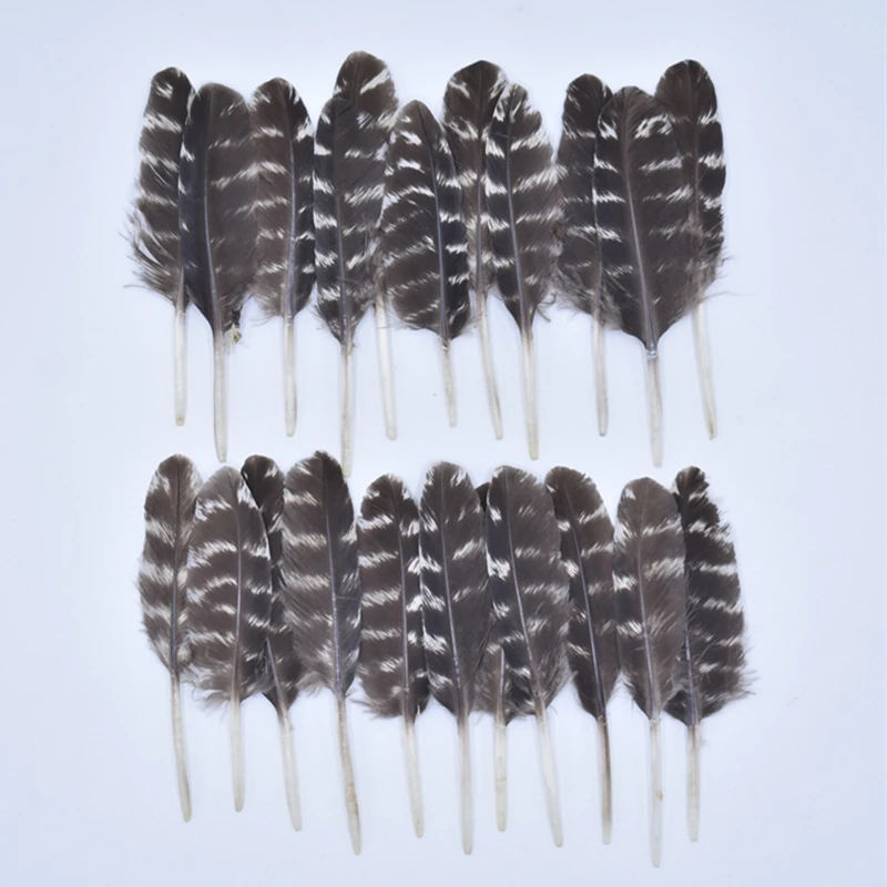 

10Pcs Natural Feathers Crafts Decoration Pheasant Feather Turkey Small Eathers Needlework Decor Carnival Accessories Plumes DIY