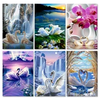 ruopoty pictures by numbers animals acrylic drawing canvas swan oil painting numbers for adults wall pictures for living room