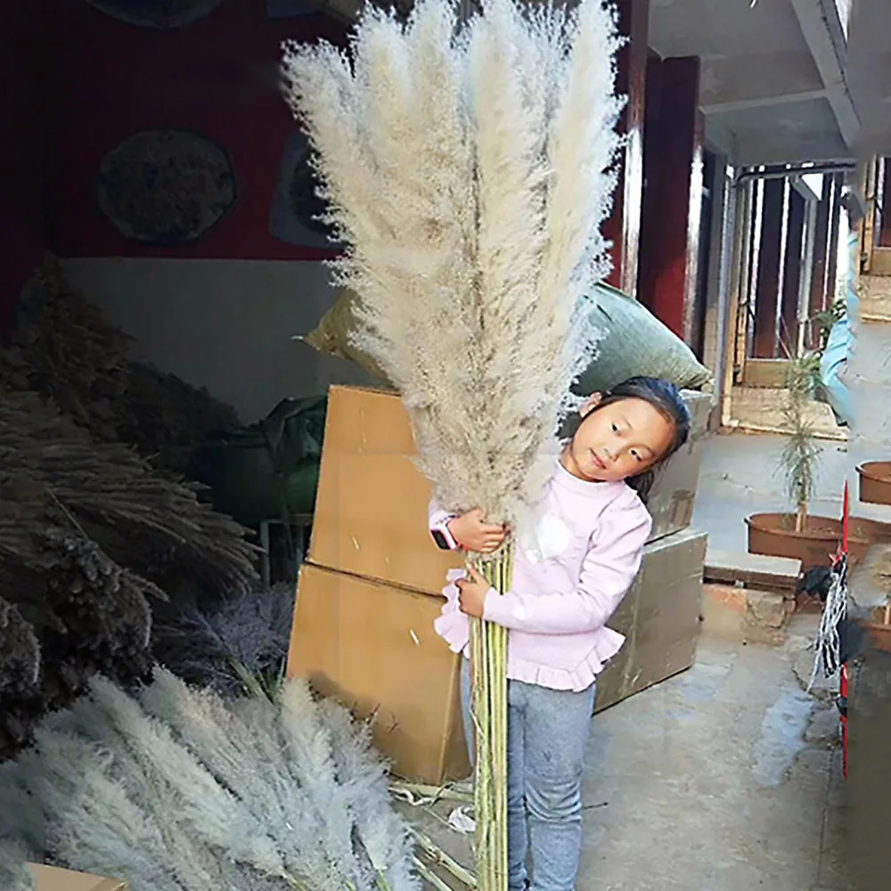 60 см большой тростник пампасная трава для офиса 15 шт. дома пушистые без выпадения