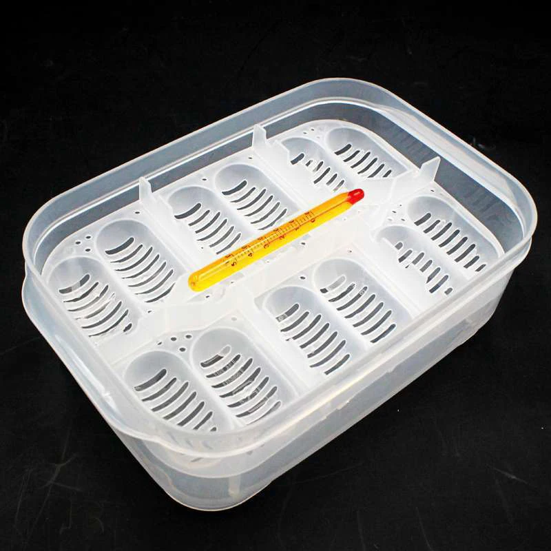 

Pet Reptile Breeding Box Terrarium For Turtle Snake Lizard Spider Snake Frog Thermometer Reptile Egg Incubation Box Pet