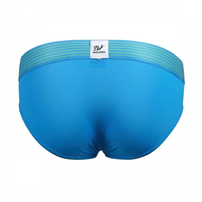 WJ Men briefs sexy underwear shorts men G-strings gay penis pouch Jockstraps Nylon Silky Sheer underpants |