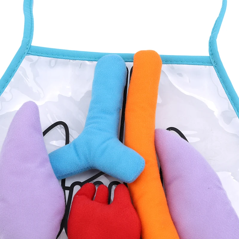 

children's Puzzle Science Color Transparent Human Organ Apron Early Education Toys New Baby Enlightenment Teaching Aids