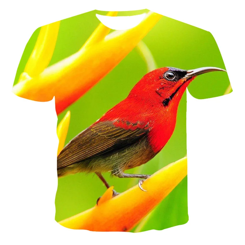 

Men'S Short-Sleeved Loose T-Shirts, Beautiful Woodpecker 3D Printed Round Neck Pullovers And Men'S Casual Streetwear Fashion T-S