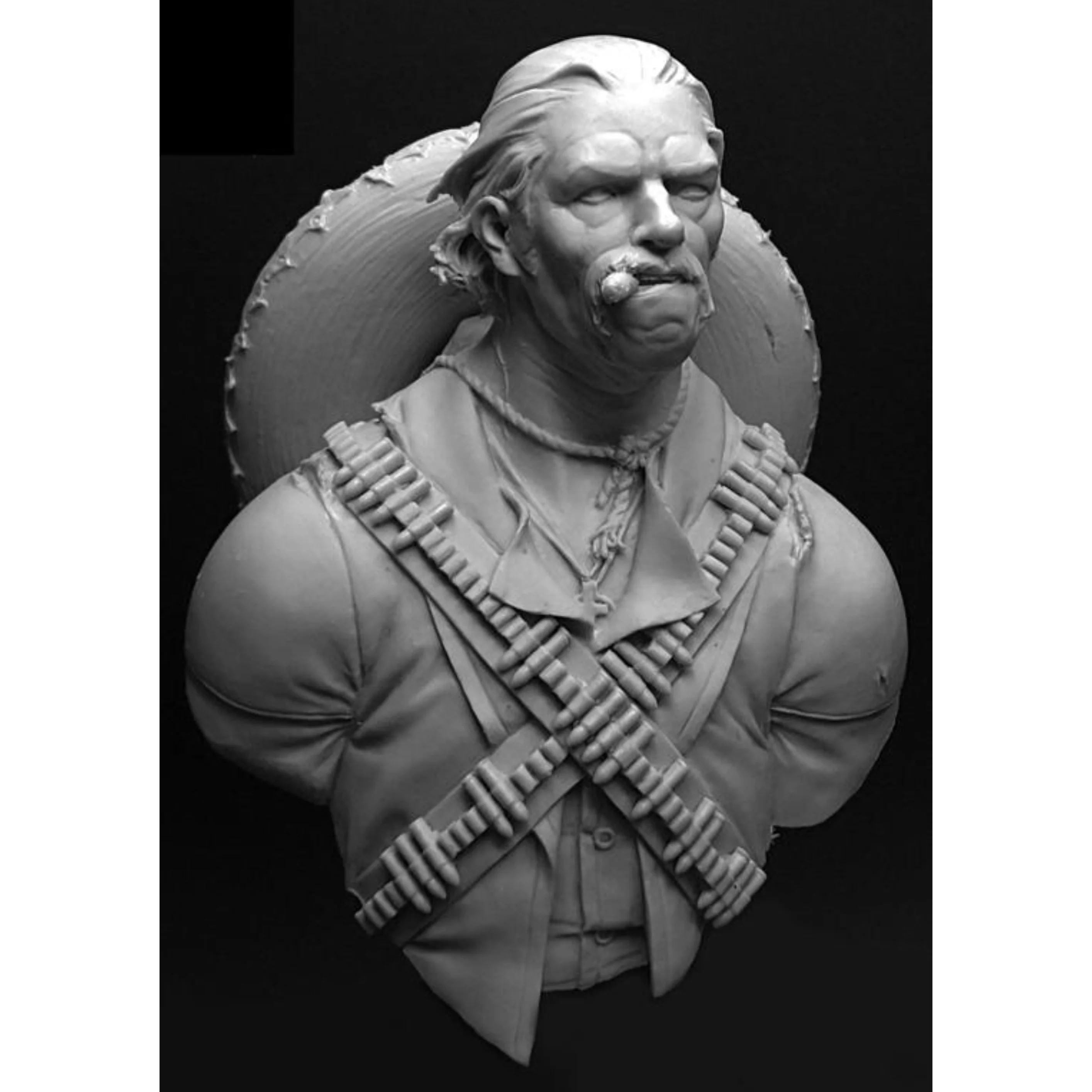 

85x67mm Resin Model Bust GK， Unassembled and unpainted kit