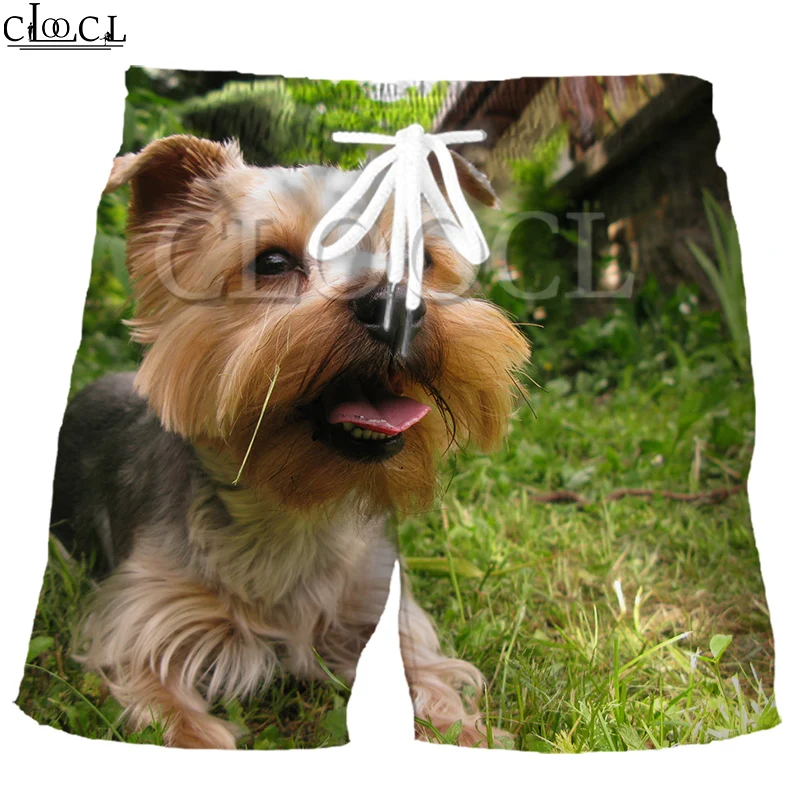 Π¨ΠΎΡΡΡ CLOOCL ΠΌΡΠΆΡΠΊΠΈΠ΅ Π΄Π»Ρ Π΄ΠΎΠΌΠ°ΡΠ½ΠΈΡ
ΠΆΠΈΠ²ΠΎΡΠ½ΡΡ
, ΡΠ»Π°ΡΡΠΈΡΠ½ΡΠ΅ ΠΌΠΎΠ΄Π½ΡΠ΅ ΠΏΠ»ΡΠΆΠ½ΡΠ΅ ΡΡΠ°Π½Ρ Π² ΡΡΠΈΠ»Π΅ Π₯Π°ΡΠ°Π΄Π·ΡΠΊΡ, Ρ 3D ΠΏΡΠΈΠ½ΡΠΎΠΌ ΡΠΎΠ±Π°ΠΊ ΠΈ ΠΉΠΎΡΠΊΡΠΈΡΡΠΊΠΈΡ
ΡΠ΅ΡΡΠ΅ΡΠΎΠ², Π»Π΅ΡΠ½ΠΈΠ΅ Π¨ΠΎΡΡΡ CLOOCL ΠΌΡΠΆΡΠΊΠΈΠ΅ Π΄Π»Ρ Π΄ΠΎΠΌΠ°ΡΠ½ΠΈΡ
ΠΆΠΈΠ²ΠΎΡΠ½ΡΡ
, ΡΠ»Π°ΡΡΠΈΡΠ½ΡΠ΅ ΠΌΠΎΠ΄Π½ΡΠ΅ ΠΏΠ»ΡΠΆΠ½ΡΠ΅ ΡΡΠ°Π½Ρ Π² ΡΡΠΈΠ»Π΅ Π₯Π°ΡΠ°Π΄Π·ΡΠΊΡ, Ρ 3D ΠΏΡΠΈΠ½ΡΠΎΠΌ ΡΠΎΠ±Π°ΠΊ ΠΈ ΠΉΠΎΡΠΊΡΠΈΡΡΠΊΠΈΡ
ΡΠ΅ΡΡΠ΅ΡΠΎΠ², Π»Π΅ΡΠ½ΠΈΠ΅