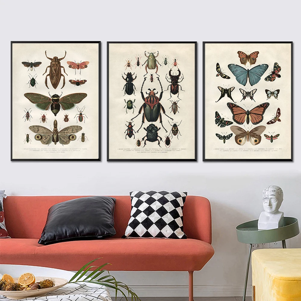 

Nordic Retro Art Canvas Painting Butterfly Beetle Insect Evolution Poster Wall Art Pictures Prints Living Room Home Decoration