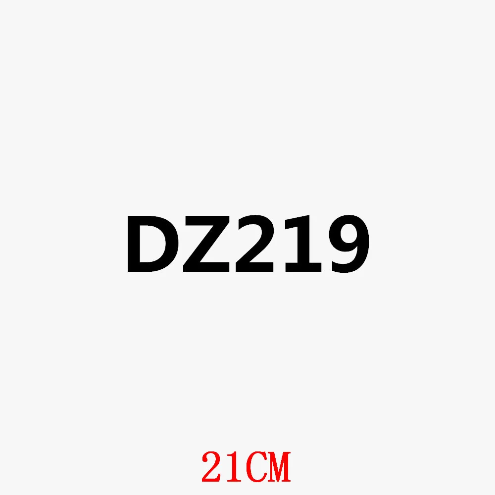 

DZ219-21