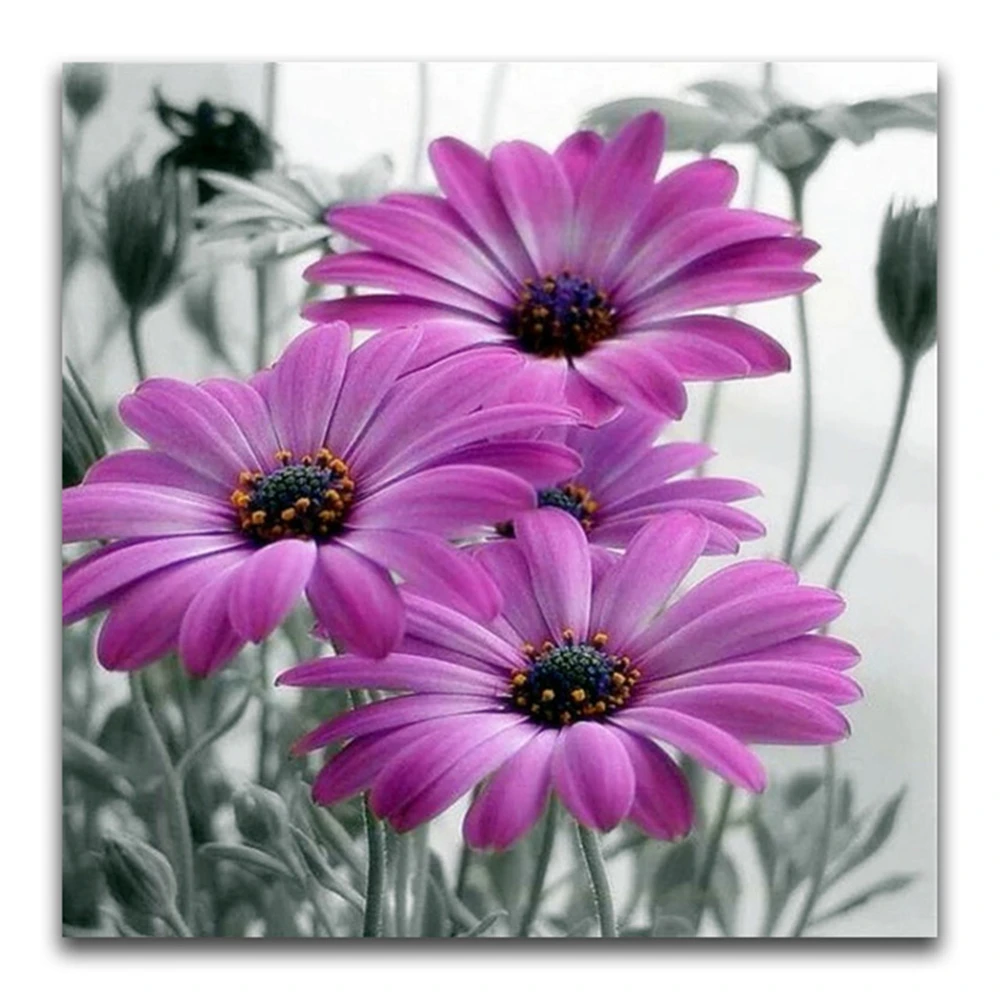 

Набор для вышивки крестом 11CT, набор для рукоделия «сделай сам», цветная нить с цветочным принтом