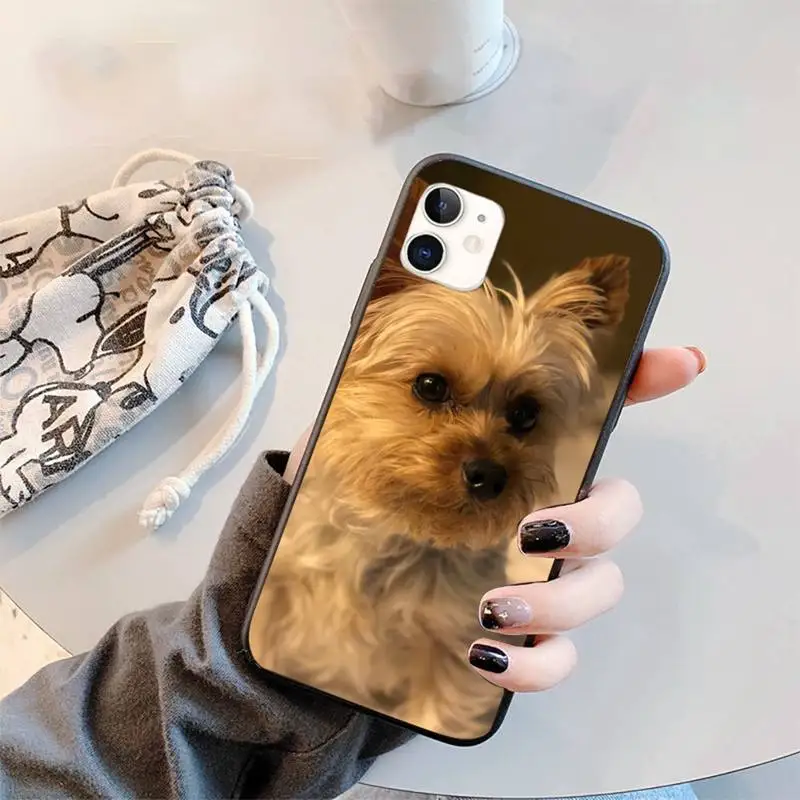 

Mini Yorkshire Terrier Dog Phone Case for iPhone 11 12 pro XS MAX 8 7 6 6S Plus X 5S SE 2020 XR mini