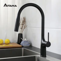 kitchen faucet brass single handle pull out brushed chromeblack sink faucet modern tap with dual function cleaning