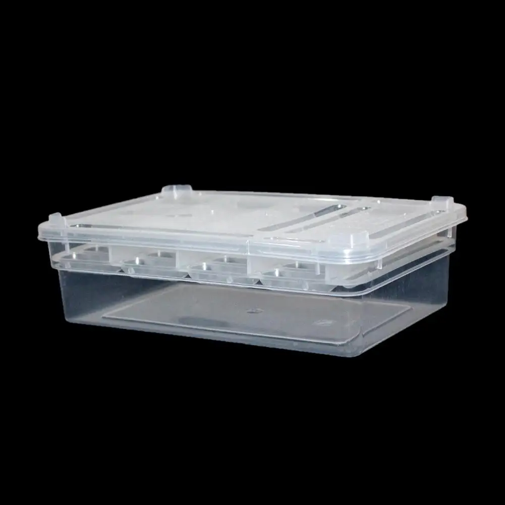 Инкубационный поднос для яиц рептилий с 24 отверстиями черепахи ящерицы хамелеона|Корма питьё и аксессуары| |