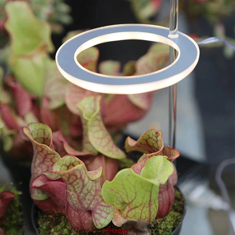 LED Grow Light Full Spectrum Phyto Lamp USB Phytolamp For Plants 5V Growth Lighting Indoor Plant | Лампы и освещение