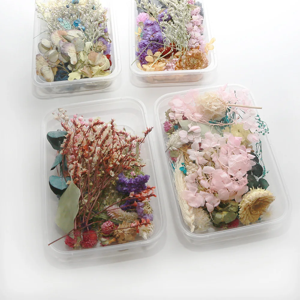 1 коробка настоящие сухие цветы для ароматерапии свечи эпоксидная смола создания
