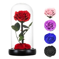 ainyrose eternal rose beauty and the beast rose everlasting artificial flower led in glass dome christmas valentine wedding gift