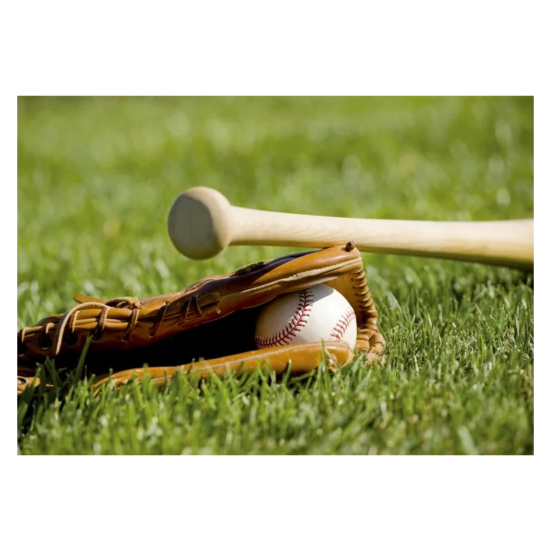 

21-33Inch Solid Wood Baseball Bat Professional Hardwood Baseball Stick Softball Outdoor Sports Fitness Equipment Defense -40