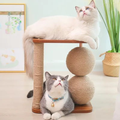 

Wooden Double Ball Cat Climbing Frame Simple Cat Scratching Post Cat Scratching Ball Rotating Ball Cat Toy
