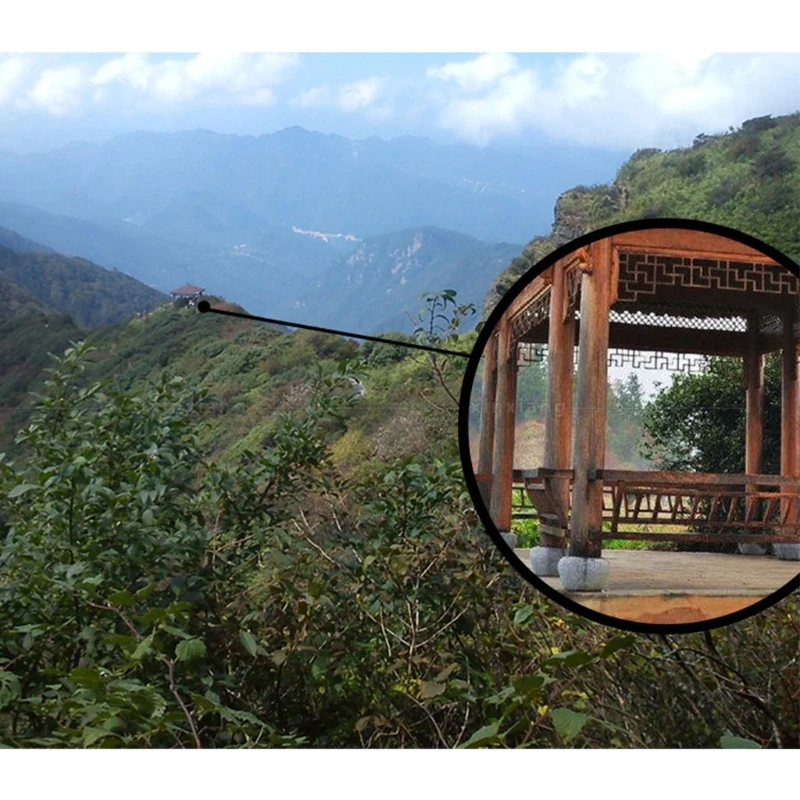 Монокулярный телескоп высокой мощности 10x42 водонепроницаемый для наблюдения за