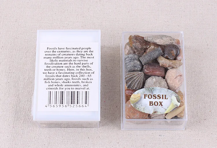 1 коробка смешанный образец ископаемой руды минерал Метрическая геология