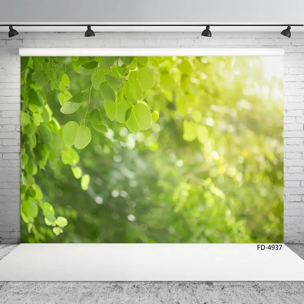 Фон для фотосъемки с зелеными листьями солнечного света боке фоны под заказ